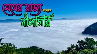 মেঘের রাজ্য নীলগিরি // নীলগিরি ভ্রমন কাহিনী // Nilgiri vromon kahani // Nilgiri Bandarban