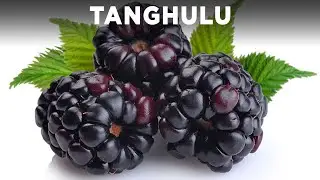 Blackberry Tanghulu