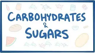 Carbohydrates & sugars - biochemistry
