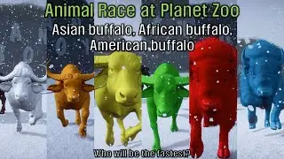 American bison, African buffalo and Asian buffalo run at Planet Zoo!