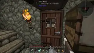Direwolf20 1.10.2 - #08 - Enchanting a lost episode...