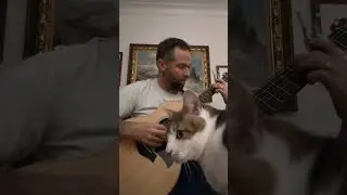 Opeth - Hope Leaves - Gnocchi Session 2