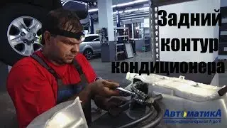 Магистрали заднего 