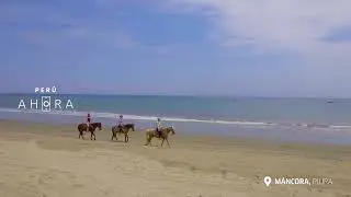 PIURA SOL Y PLAYA ESP ALTA CAPSULA