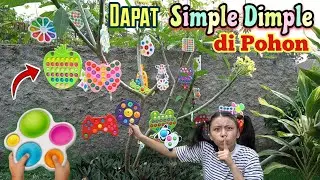 HUNTING FOR SIMPLE DIMPLES, FUN POP IT STRANGE IN THE MAGIC TREE! The Shapes Are Cute