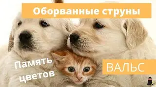 Повторение - мать учения!  Терпение и труд - все перетрут!
