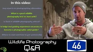 Wildlife Q&A - Episode 46: Silhouettes, lodge experience,  and how to get sponsorship.