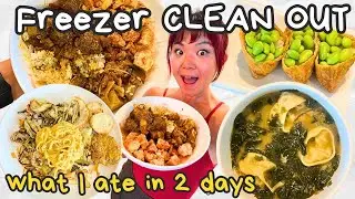 WHAT I ATE IN A DAY x2 (Freezer Cleanout Meals) as a VEGAN