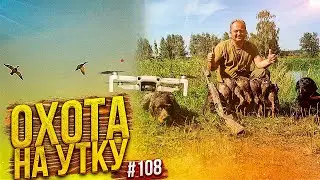 №108 Чудненько открылся по утке. Охота на утку с чучелами, дратхааром и ретривером.