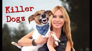 KILLER DOGS!  TOP 5 SMALL BREEDS WHO HAVE KILLED! - Chihuahua, Dachshund, Pomeranian...