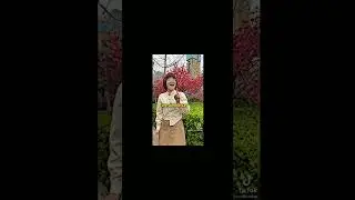 Untitled video