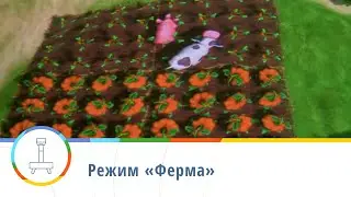 Режим «Ферма» — интерактивная песочница iSandBOX