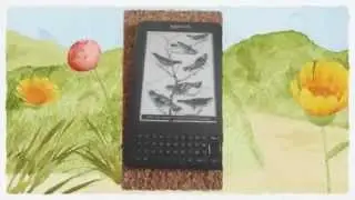 Amazon Kindle Review.