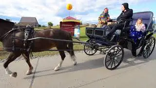 Казань 2017