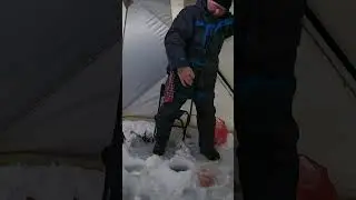 Сковородочная треска зимой на удочку