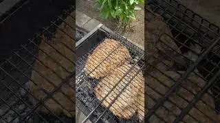 Скумбрия на огне