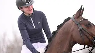 Dressage pony video