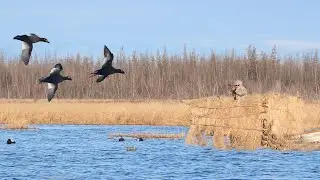 DUCK HUNTING IN SIBERIA