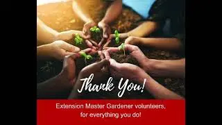 National Volunteer Week 2024