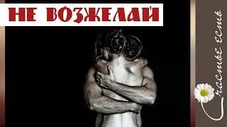 Не возжелай себе чужого счастья. мудрые мысли. Минирелакс. Счастье есть