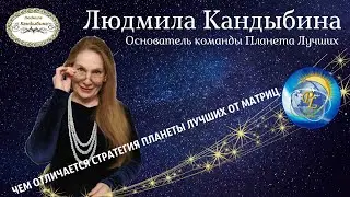Чем отличается стратегия заработка Планеты Лучших от матриц