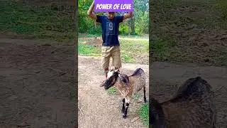 power of love 💕#viral short video