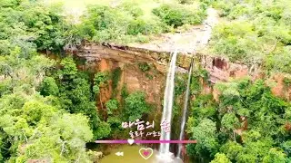 [Free][track list][802] 마음의 숲
