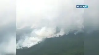 Пожар на территории «Ленских столбов» тушат 100 человек