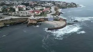 La Jolla Children's Pool and Cove Drone Footage | San Diego