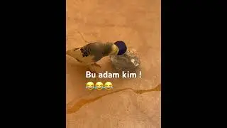 Hadi bakalım Paşa’ya cevap ver su şişesi😂😂😂😂😂😂😂😂😂