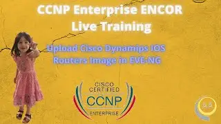 Lecture-06:Upload Cisco Dynamips IOS Routers Image in EVE-NG.