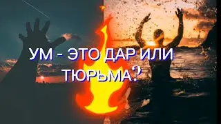 Что ты знаешь об уме? И знаешь ли ты, чем отличается ум от эго?