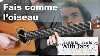 Fais comme l'oiseau ( Voce abusou )  - Solo fingerstyle guitar