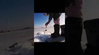 Умные мысли…