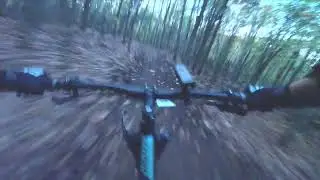 La forêt de l'Abbaye - La nouvelle trail 🔵