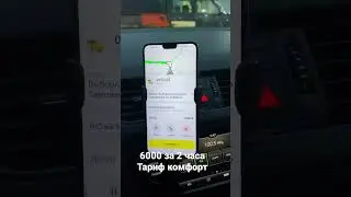 В НОВОМ ГОДУ НОВЫЕ РЕКОРДЫ