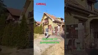 #недвижимостьсербии  Приехали проверить состояние дома.#сербия #жизньзаграницей