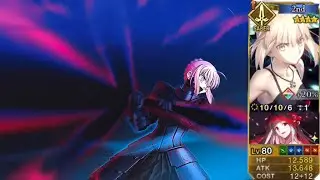 【FGO】Salter Black Grail Buster Looping Demo【Fate/Grand Order】