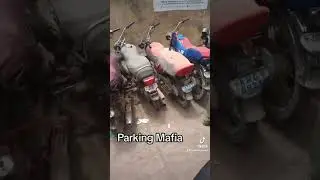 Parking mafia