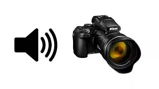 Camera Zoom - Sound Effect | ProSounds