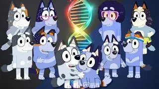 Bluey Family Tree Genetics: MUFFIN & SOCKS (and is Uncle Stripe a step-dad???)