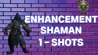 Enhancement Shaman On Roidz