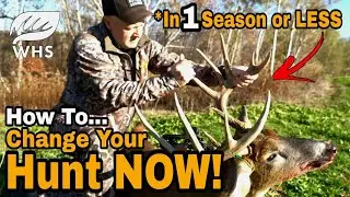 Rapid Deer Habitat Improvement Results