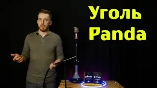#26 Уголь PANDA | Ожидание и реальность три года спустя