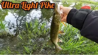 UL BFS Pike catch with LMAB finesse fillet craw