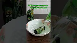 ПОД ВЫРОС В ВОДЕ