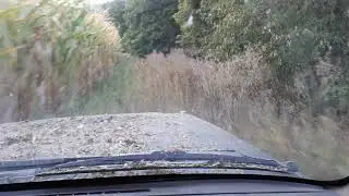 Jeep xj кукуруза и сорняк:)
