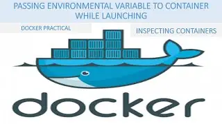 Passing Environmental Variable to Docker Container while Launching and Inspecting Docker Container