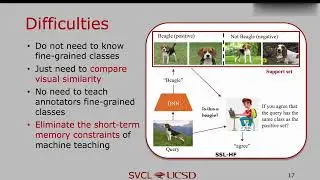 Towards Professional Level Crowd Annotation of Expert Domain Data
