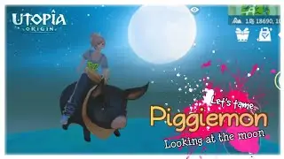 Let's tame piggiemon | utopia origin |